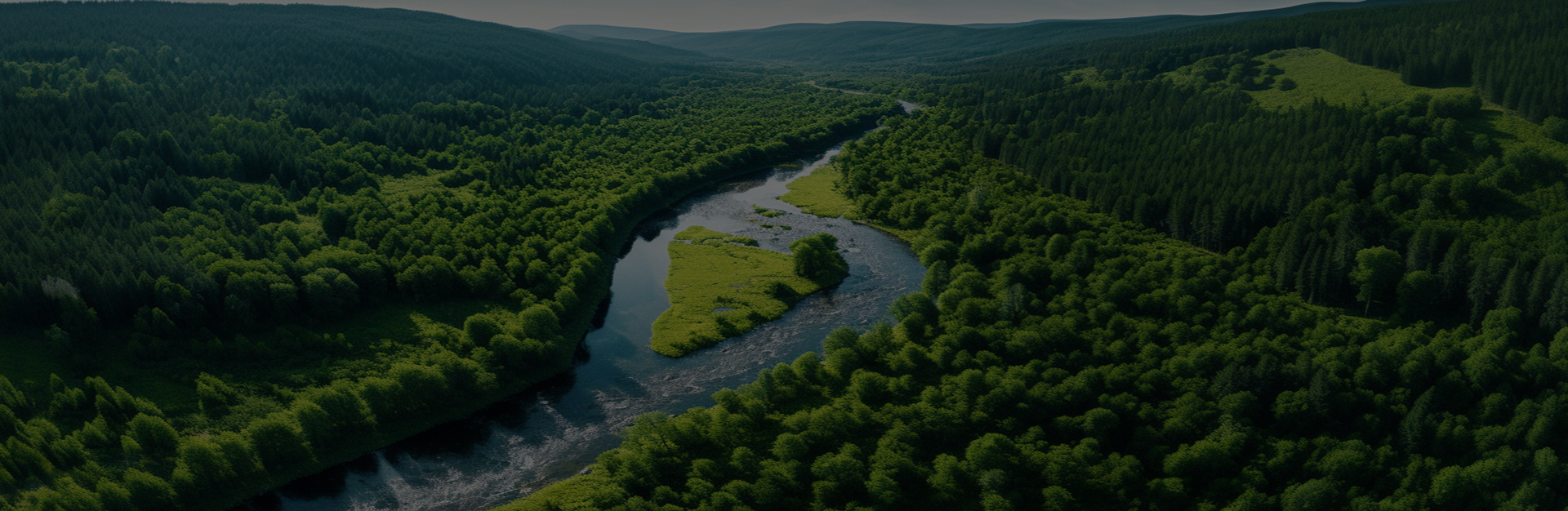 Fabrication Cie., Ltd de machines de Jiaxing Dingshi.