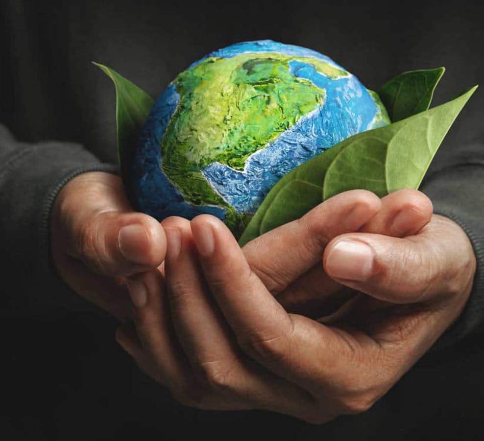 Fabrication Cie., Ltd de machines de Jiaxing Dingshi.